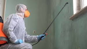 Why You Should Choose Our Mold Remediation Services in East Palo Alto, CA